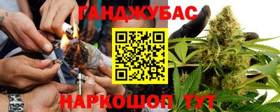 гидра Малгобек