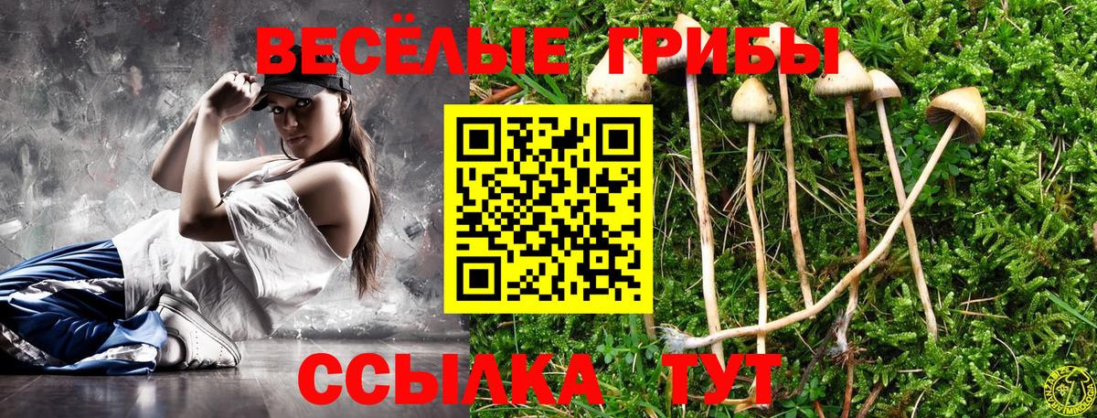 Галлюциногенные грибы MAGIC MUSHROOMS Карталы